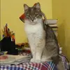 Отзыв от Альфия Блинова